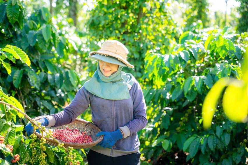 From investment to impact: How Nestlé contributes to Vietnam’s growth
