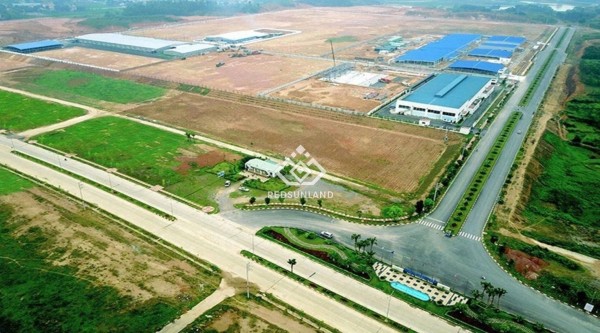 IP construction urged to meet market demands