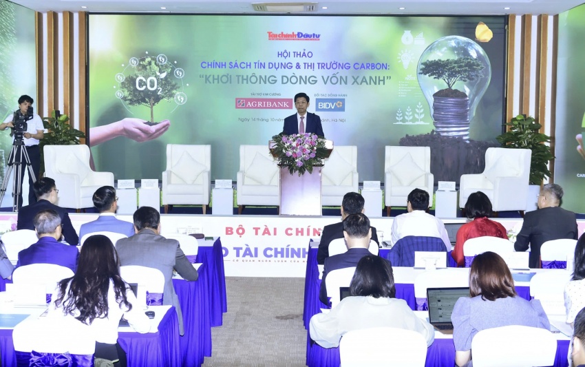 Vietnam’s carbon market needs a strong financial ecosystem to unlock green capital