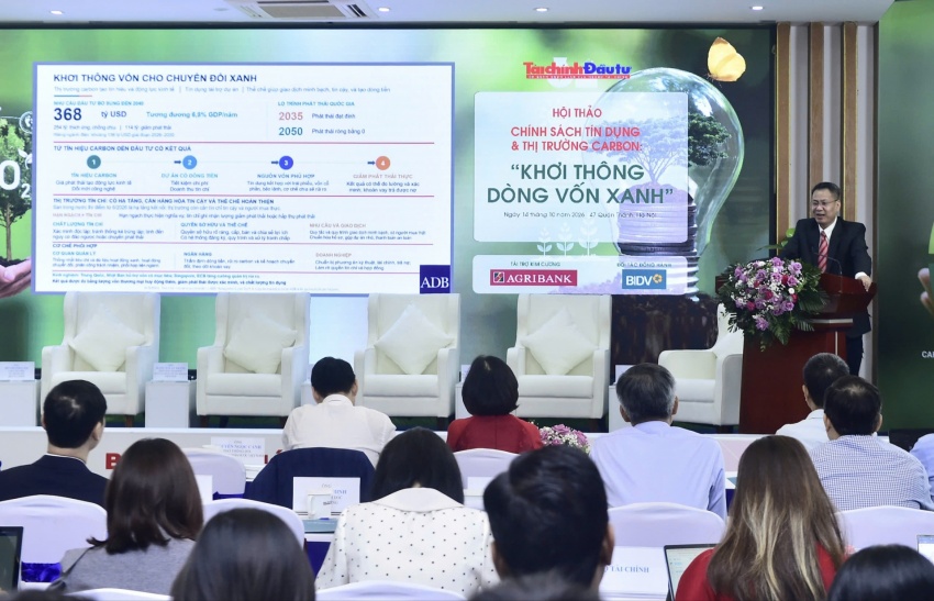 Stronger carbon market needed to unlock climate finance