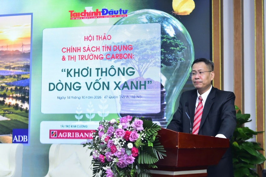 Stronger carbon market needed to unlock climate finance