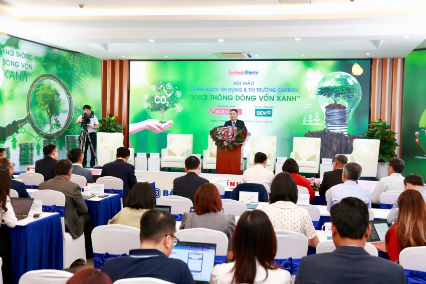 Carbon market opens new avenues for green finance