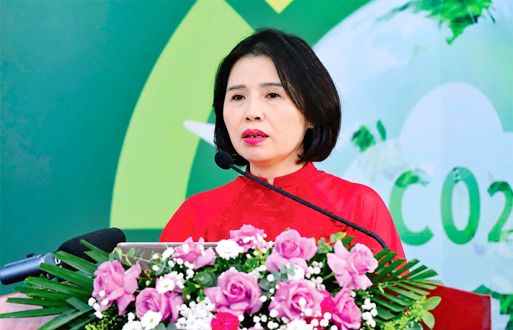 Carbon finance hinges on viable ventures
