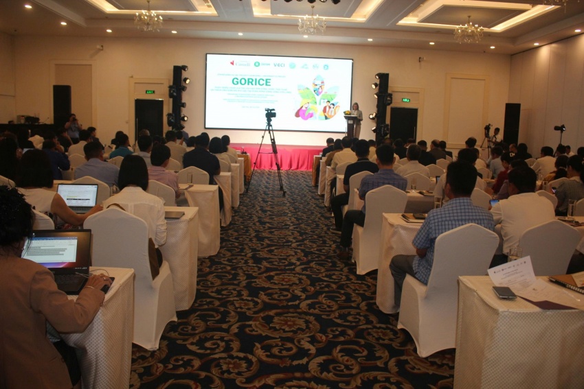 GORICE project aims to cut rice emissions and benefit 48,200 people in Mekong Delta
