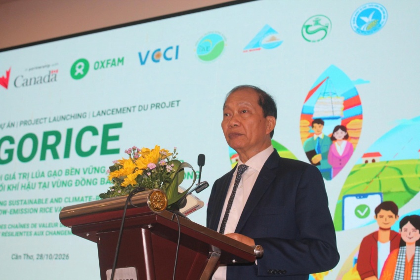 GORICE project aims to cut rice emissions and benefit 48,200 people in Mekong Delta