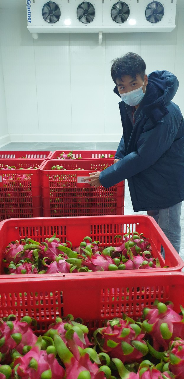 Fruit must be kept refrigerated until reaching European buyers