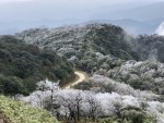 Mount Phia Oac dons white snow coating