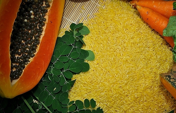 australia and new zealand gave a nod to golden rice