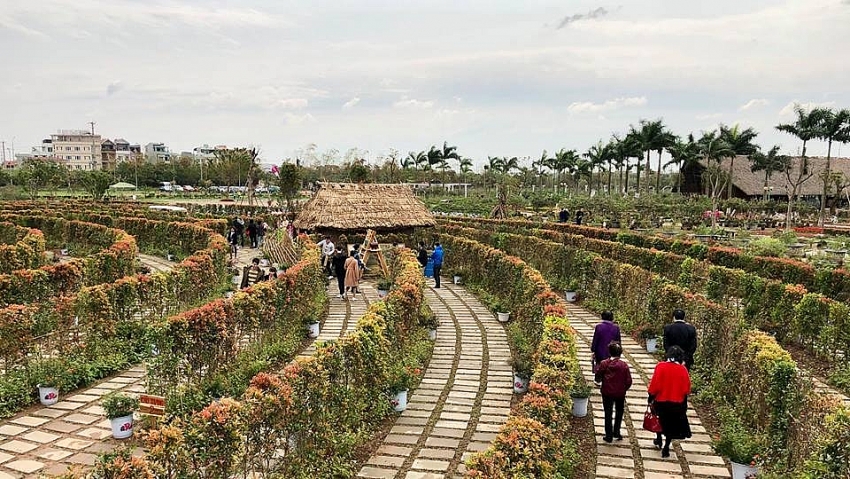 vietnams first verdure labyrinth entrances curious minds in hanoi