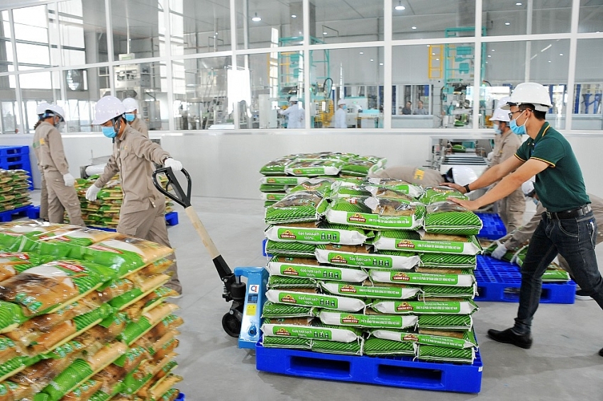 vinaseed rice products conquer international markets