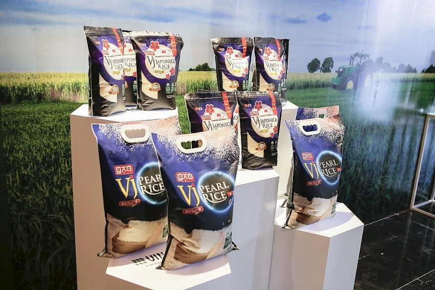 vinaseed rice products conquer international markets