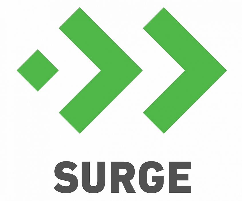 Sequoia Capital India’s Surge selects Vietnamese startup in Surge 04 2020 