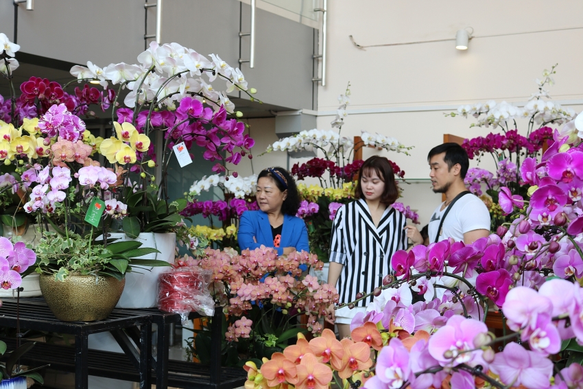 welcoming tet the year of rat