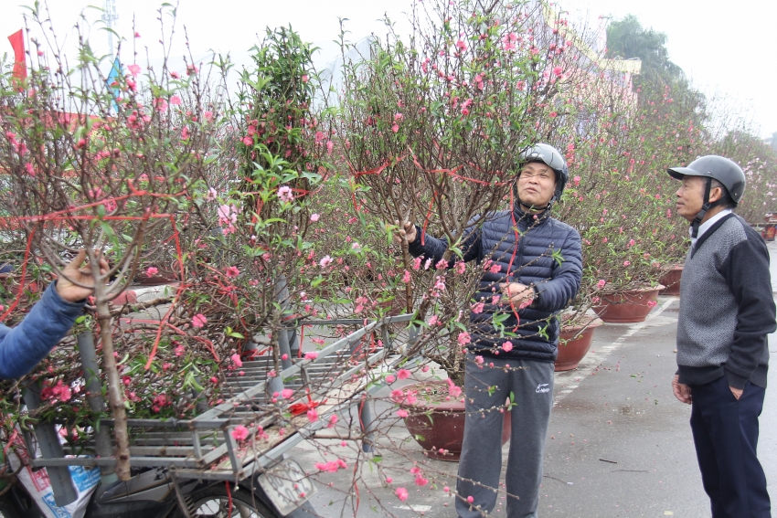 welcoming tet the year of rat