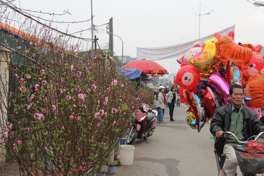 welcoming tet the year of rat