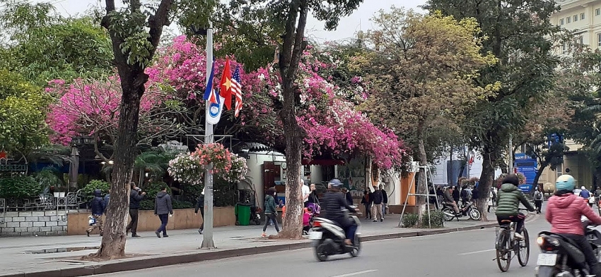 hanoi to celebrate the us north korea summit with flags and flowers