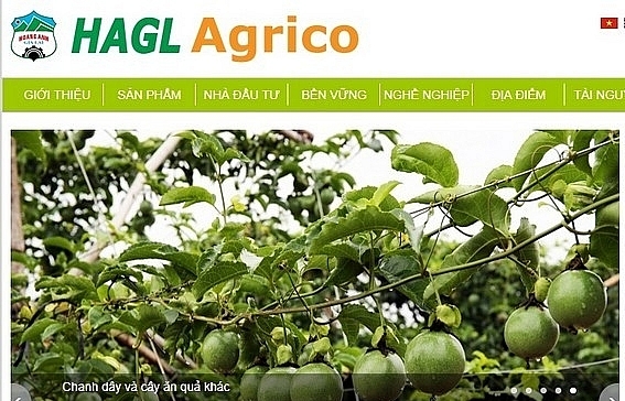 HAGL Agrico continues selling subsidiary