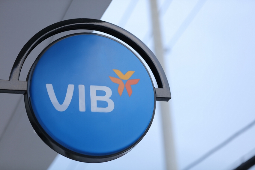vib before tax profit rose four time in two years in 2018