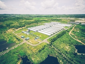 GREENFEED Vietnam exports high-quality breeding stock