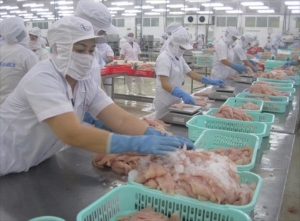 Six more Vietnamese basa fish producers gain entry to US market
