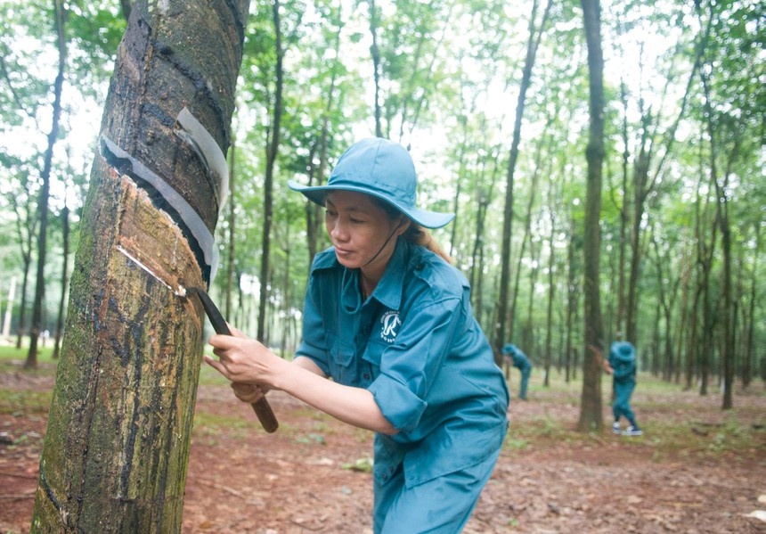 Rubber producers aspire rosy profit picture in 2022