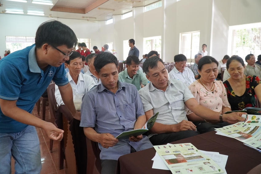 bayers black pepper solutions continue to drive sustainable farming in vietnam