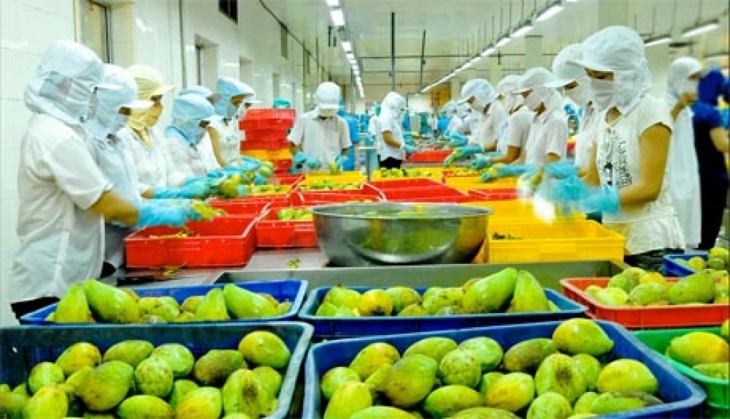 Factors for Vietnamese agricultural produce to successfully break into UK market