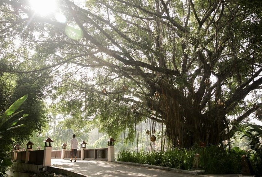 Banyan Tree taps into pent-up demand for travel in Vietnam