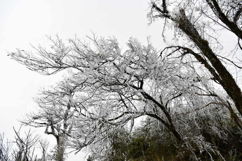 tourists flock to the northern mountains to enjoy snowy