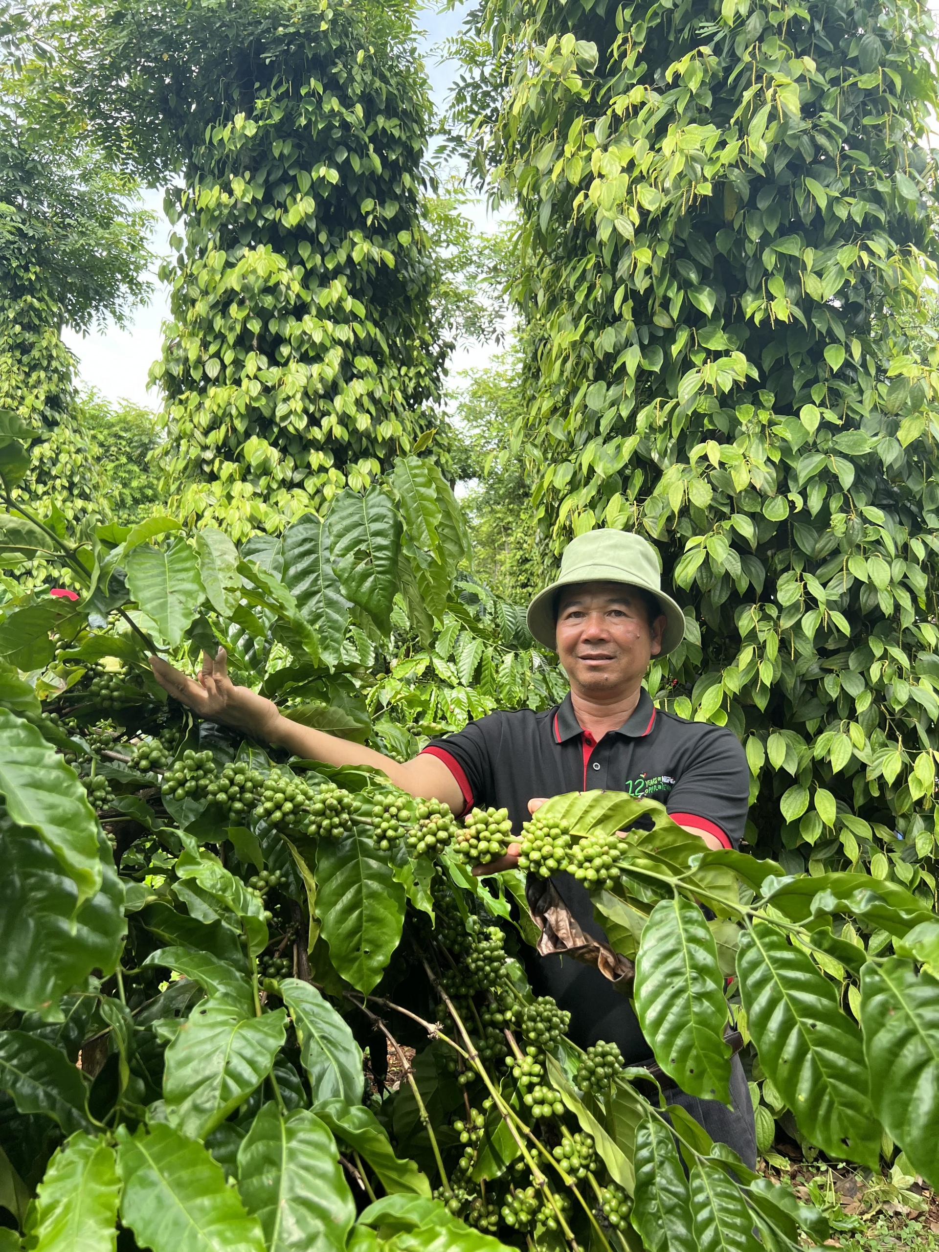 Vietnam is moving towards a sustainable regenerative agriculture