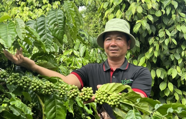 Vietnam promotes sustainable agriculture - Vimarsana News