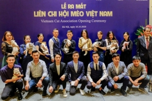 Vietnam Cat Association officially launched in Hanoi