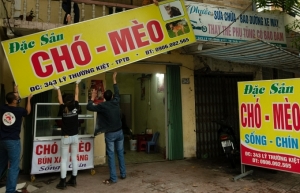 Four Paws closes cat meat restaurant and slaughterhouse in Vietnam