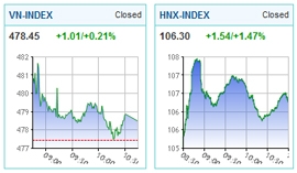 stock market bounces back