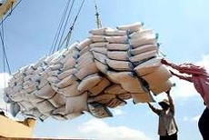 mekong delta to export 55 mln tonnes of rice in 2011