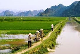 vietnam netherlands enhance ppp in agriculture