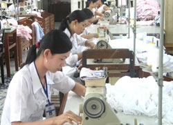 tien giang restructures economy