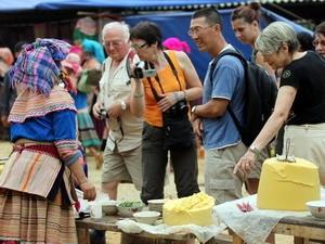 vietnam expects 72 million foreign visitors in 2013