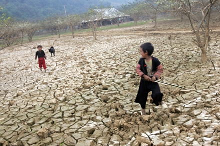 Climate change costs Viet Nam $14 billion yearly