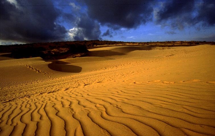 Sands of Mui Ne