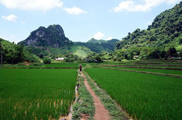 relaxation reigns in thai nguyen under shadow of misty mountains