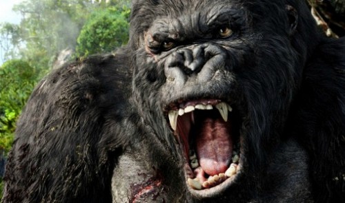 filming of king kong movie in vietnam to start feb 18 source