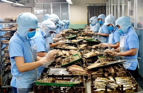 phu yen province sets up fund for smes