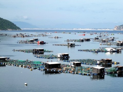 phu yen pours vnd212 trillion into aquaculture