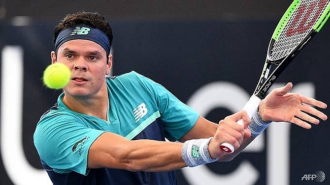 plain sailing for dimitrov and raonic in brisbane