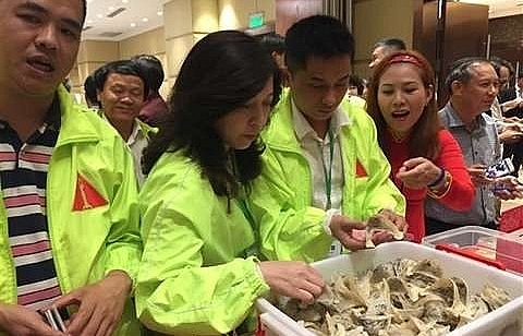 Official trade of birds nests to China to increase exports