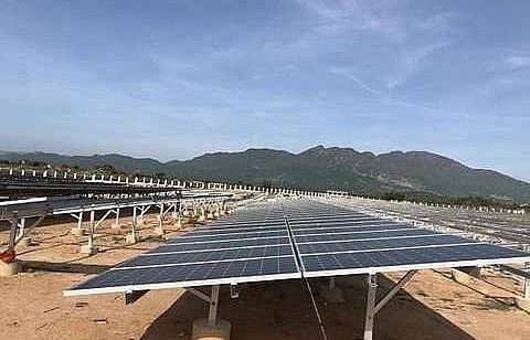 ninh thuans first solar power plant connected to national grid