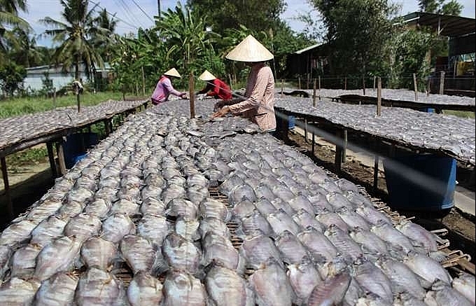 Mekong Delta dried fish making villages busy with Tet production