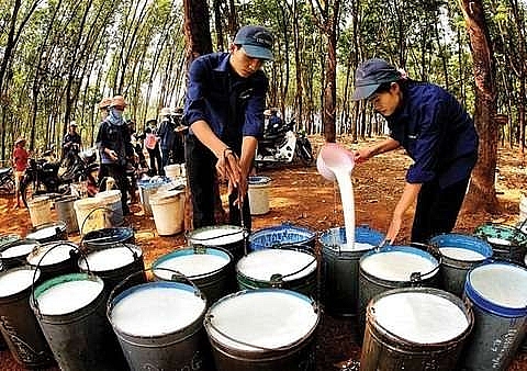rubber stocks rise on global prices