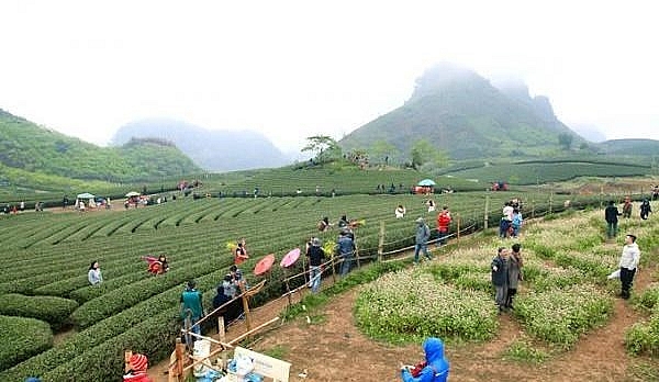 planning scheme for moc chau national tourist site approved